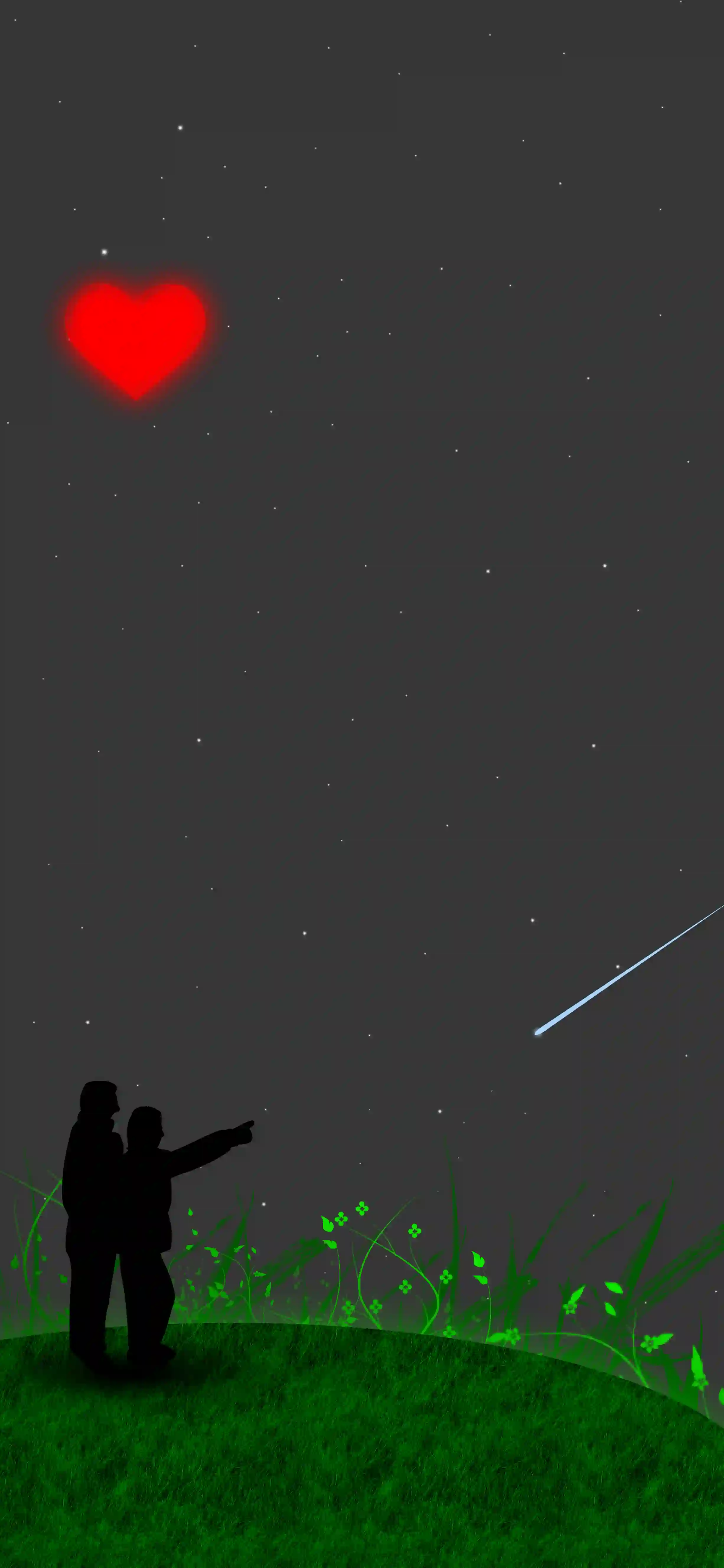 A couple is lokking toward the falling star at night and a red heart in the sky.